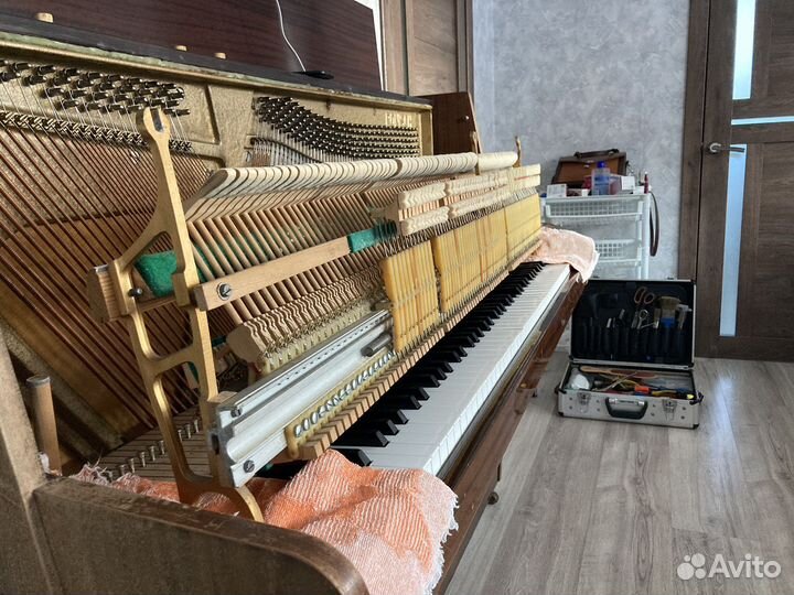 Настройка и ремонт пианино (настройщик пианино)