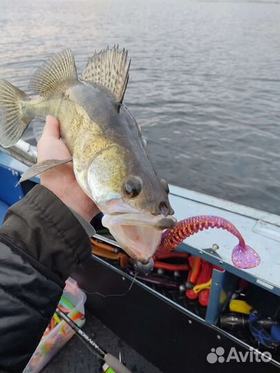 Рыбалка с гидом