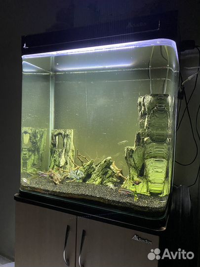 Аквариум с тумбой SunSun