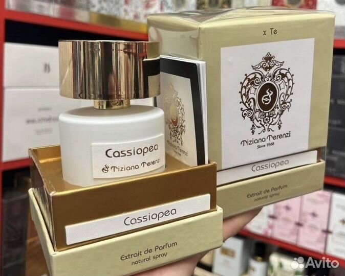 Cassiopea Tiziana Terenzi