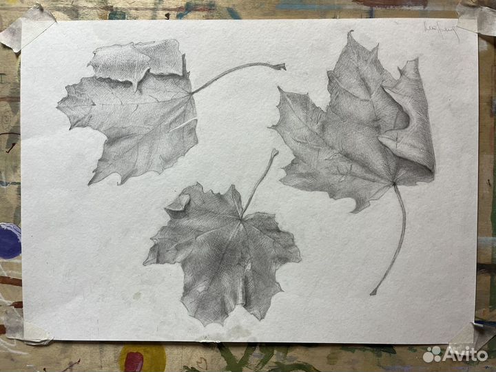 Преподаватель рисунка и живописи