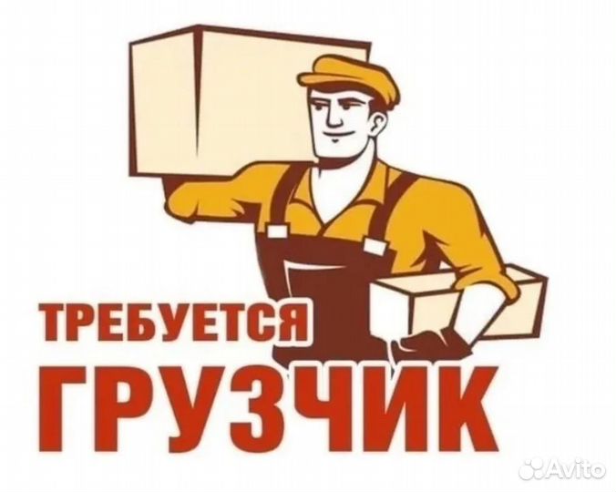 Грузчики на склад ежедневная оплата