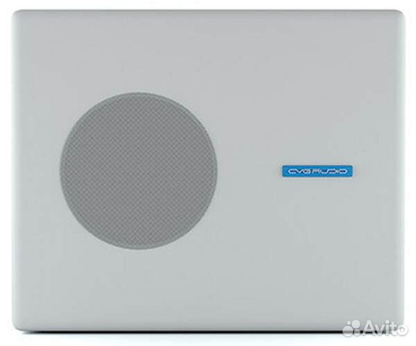 Пассивный корпусной сабвуфер CVGaudio SUBone model