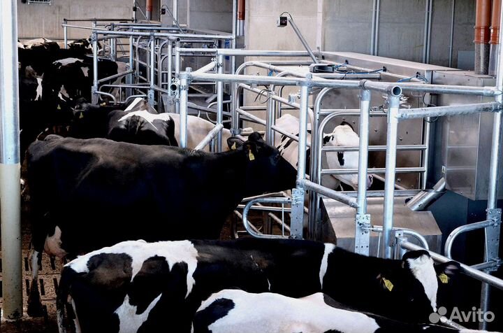 Доильный робот для ферм