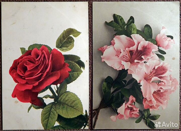 Антикварные открытки. Цветы