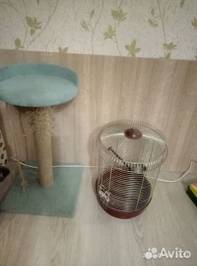 Клетка для птиц