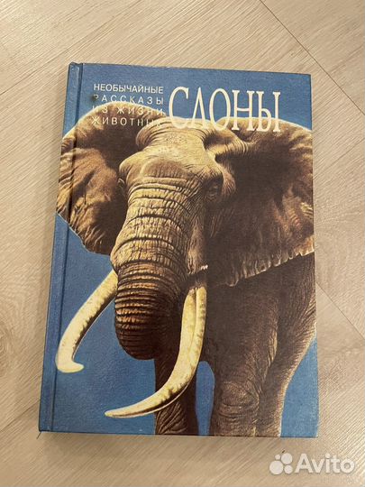 Необычайные рассказы о животных. Слоны/обезьяны