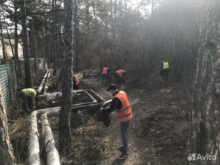Твой собственный бизнес с доходом от 100 к/месяц