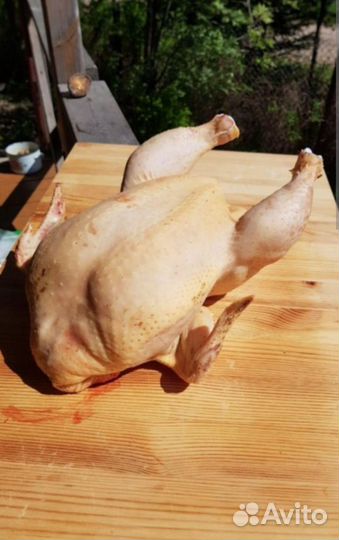 Цыплёнок бройлера мясо