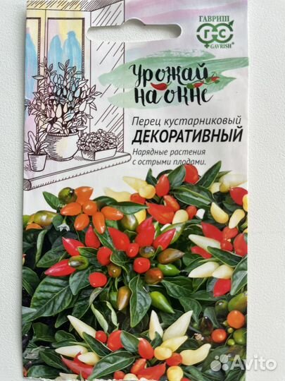 Перец комнатный острый