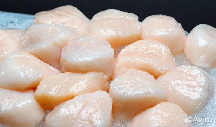 Морской гребешок Премиум