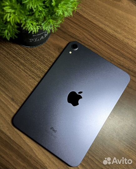 iPad mini 6 64gb wi fi