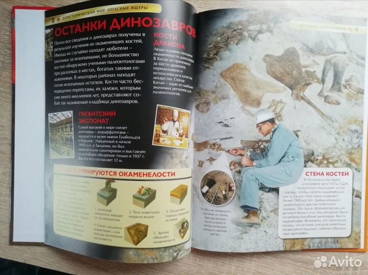 Книги ''Футбол'' и ''Доисторический мир