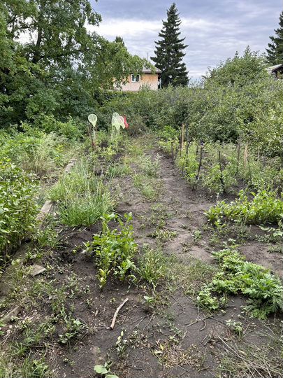 Дача 85 м² на участке 6 сот.