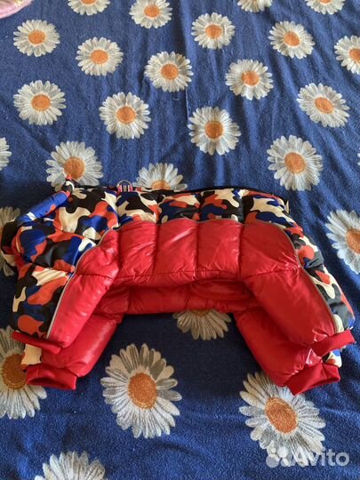 Зимний комбинезон для сабаки(девочка)