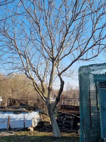 Дом 25 м² на участке 14 сот.