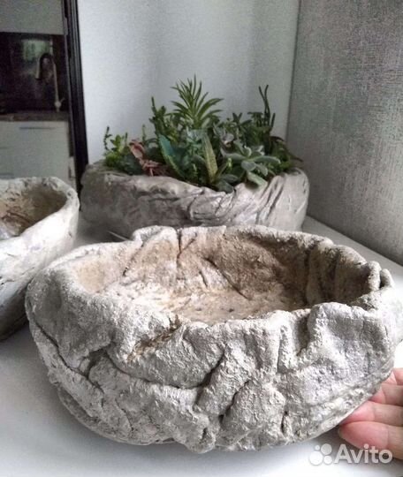 Кашпо для суккулентов