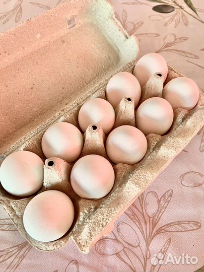 Домашние куриные яйца