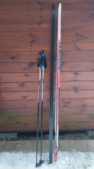 Лыжи беговые Nordway, Karyala, крепления, палки