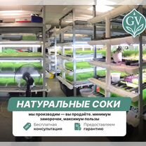 Бизнес на натуральных соках, Мядель
