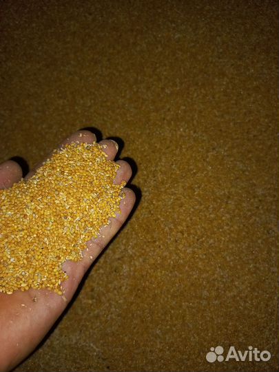 Просо желтое