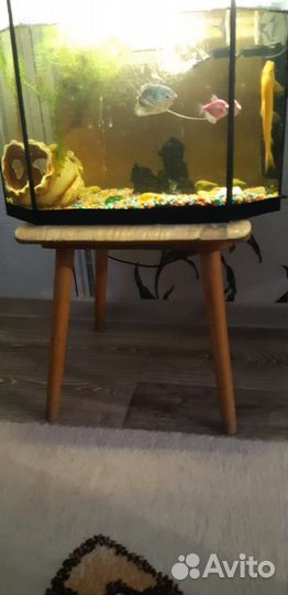 Аквариум 30 литров