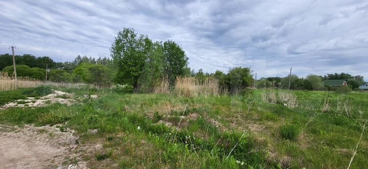 Участок 1,15 га (ИЖС)