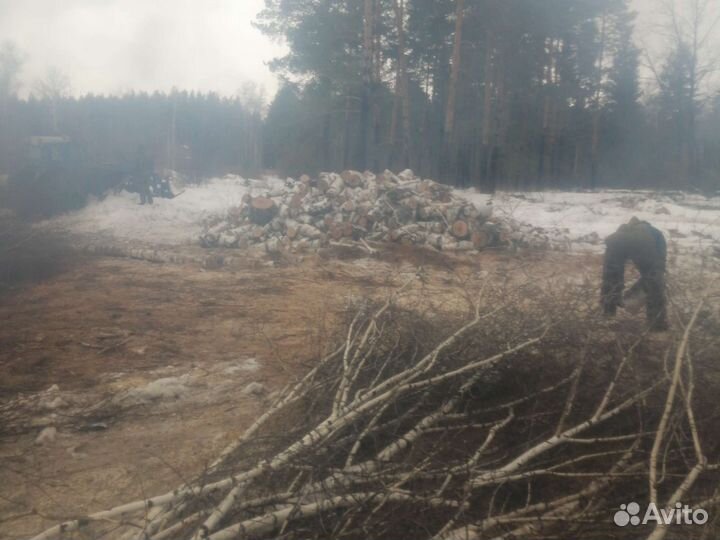 Дрова колотые