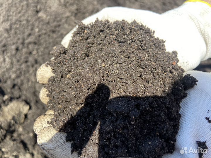 Грунт черный