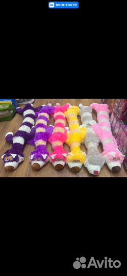 Кот беларусь