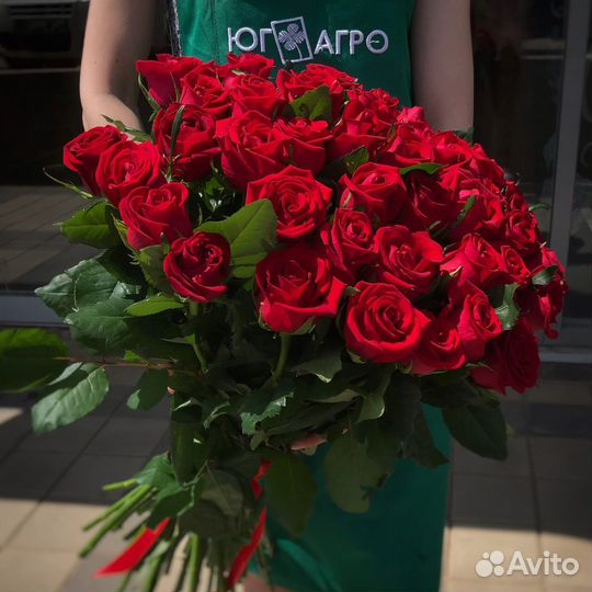 Розы высокие оптом из Краснодара