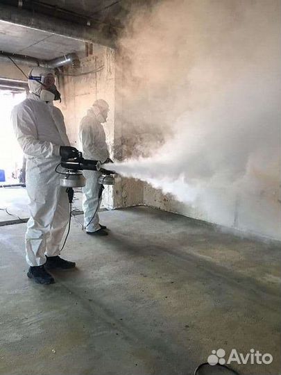 Удаление неприятных запахов, Дезинфекция