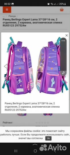 Школьный рюкзак berlingo