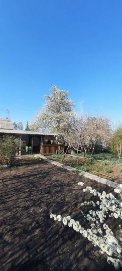 Дача 20 м² на участке 6 сот.