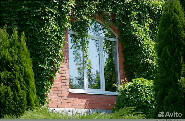 Окна пластиковые