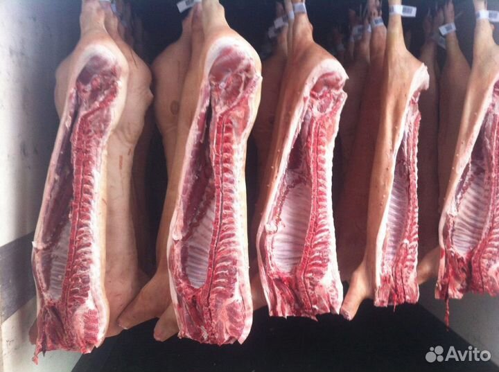 Мясо свинина