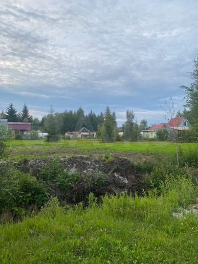 Участок 16 сот. (СНТ, ДНП)