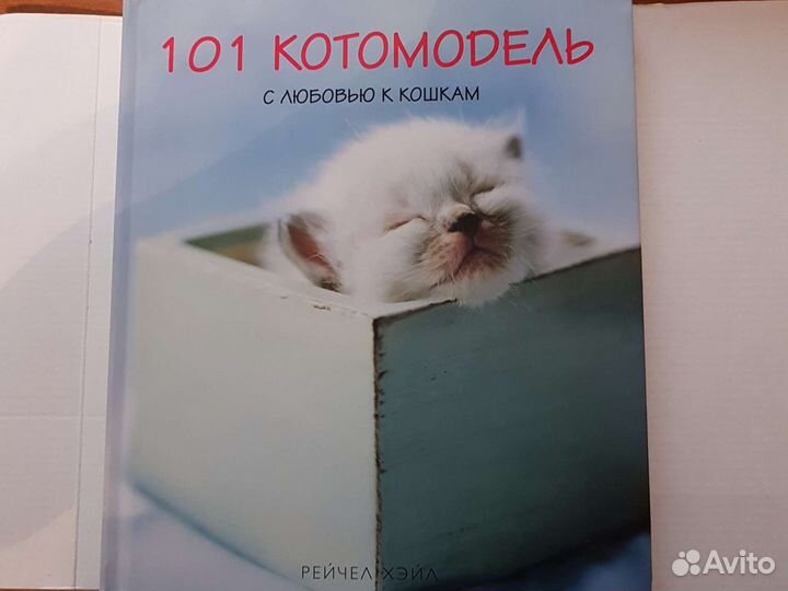 Рейчел Хейл 101 фотогерой / 101 котомодель
