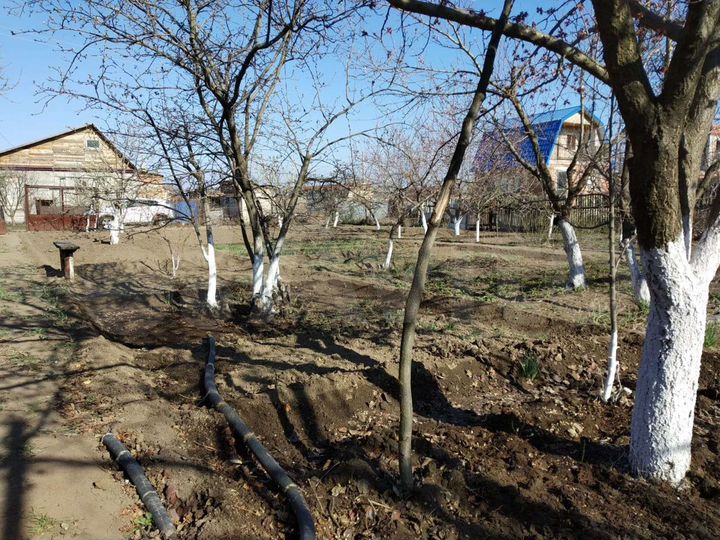 Участок 6 сот. (СНТ, ДНП)