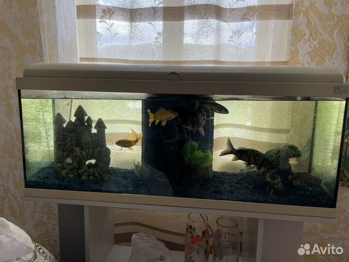 Аквариум с рыбками и домиками