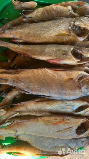 Рыба копченая