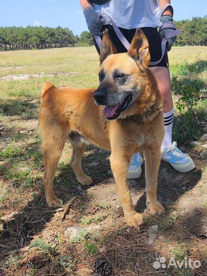 Красавчик Хантер