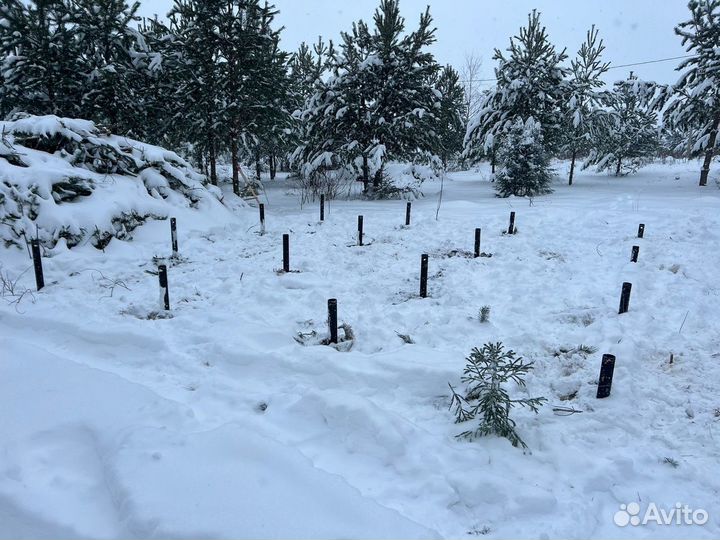 Винтовые сваи реконструкция фундамента