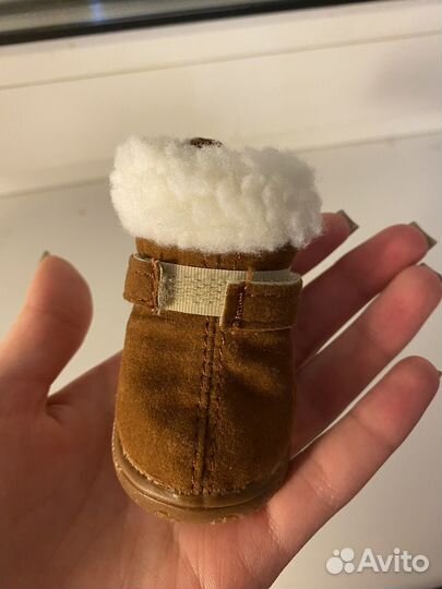 Обувь зимняя для собак