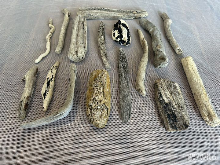 Дрифтвуд, палки, коряги