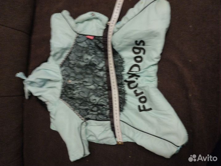 Одежда для собак