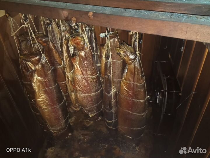 Форель свежая