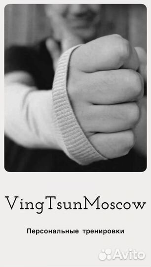 Вин Чунь (VingTsun WSl)(кунг-фу )