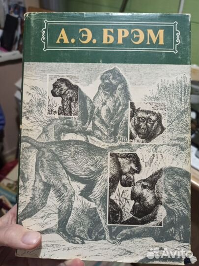 Жизнь животных. А.Э.Брем