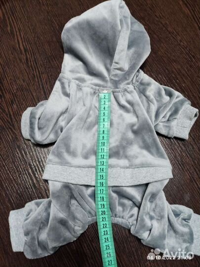 Одежда для маленьких собак m